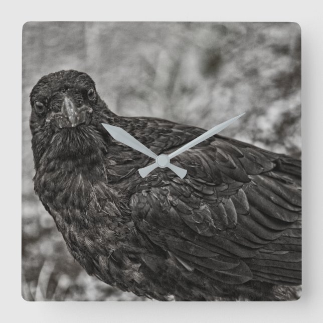 Raven P9239 Square Wall Clock (Front)