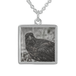 Raven P9239 Sterling Silver Necklace