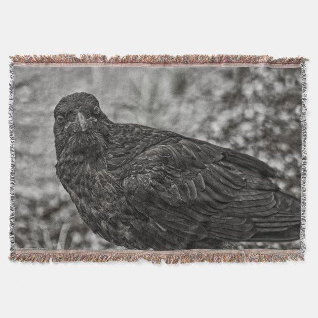 Raven P9239 Throw Blanket (Front)