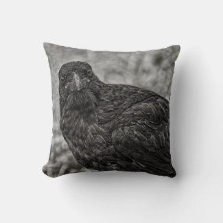 Raven P9239