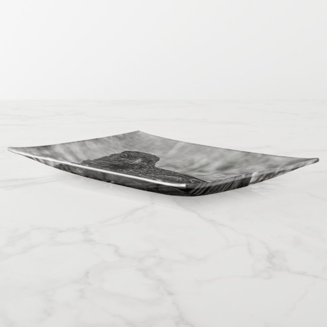 Raven P9239 Trinket Tray (Angled)