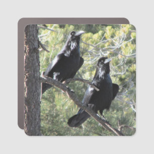 Raven Pair in the Mountain Car Magnet
