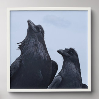 Raven picture. peel and stick photo tile