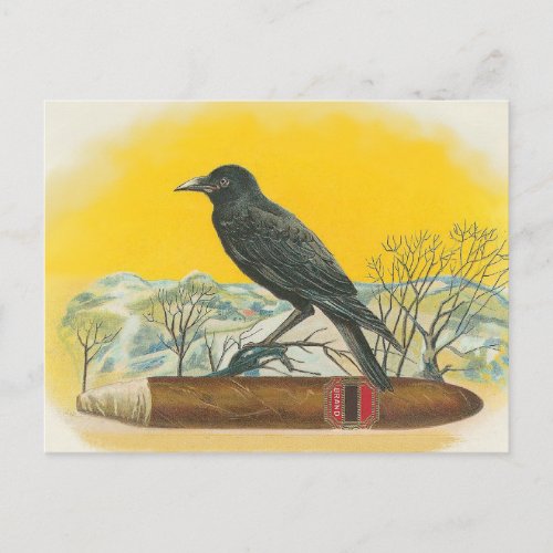 Raven Postcard