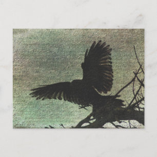 Raven Postcard