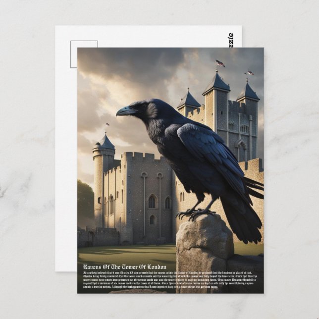 Raven Postcard (Front/Back)