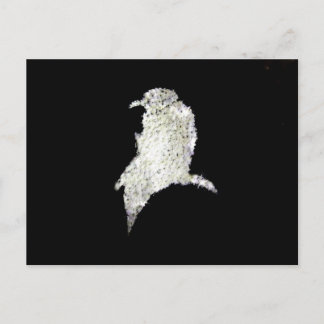 Raven Postcard