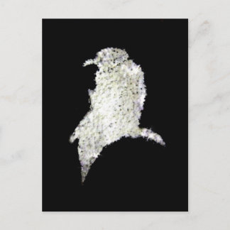 Raven Postcard