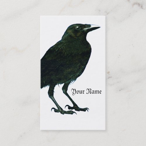 Raven Profile Card