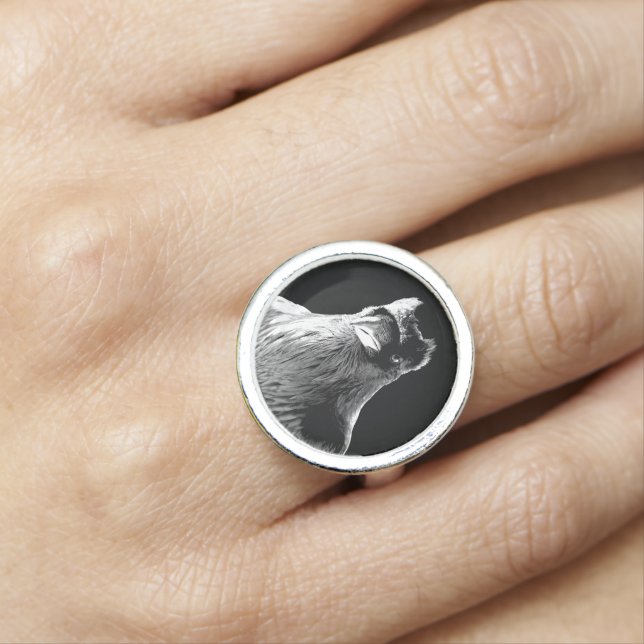Raven Ring Native Spirit Animal Raven Jewelry Ring (In Situ)