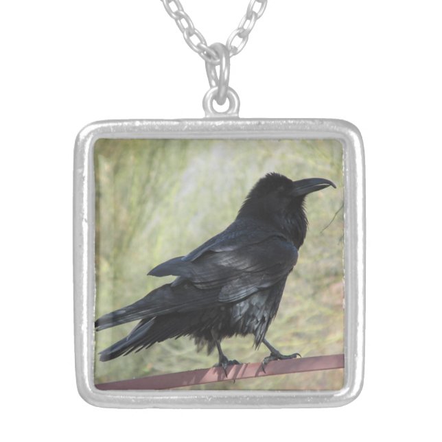 Raven Silver Plated Necklace (Front)