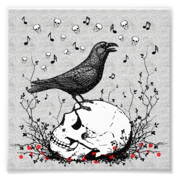 Raven Sings Song Of Death On Skull Illustration Photo Print by ironydesigns at Zazzle