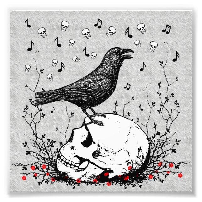 Raven Sings Song of Death on Skull Illustration Photo Print (Front)