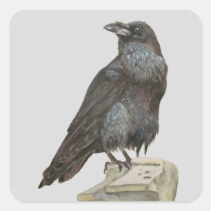 Raven Square Sticker