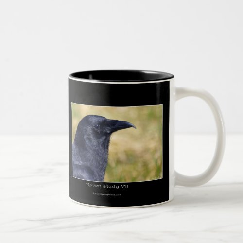 RAVEN STUDY Collection Two_Tone Coffee Mug