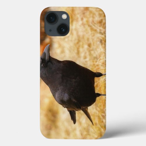 Raven  Summer Grass Corvid_lovers Photo iPhone 13 Case