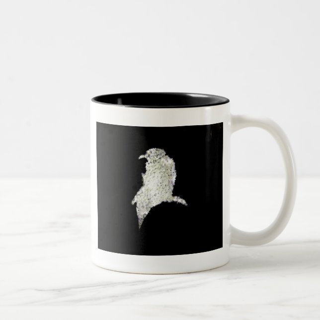 Raven Two-Tone Coffee Mug (Right)