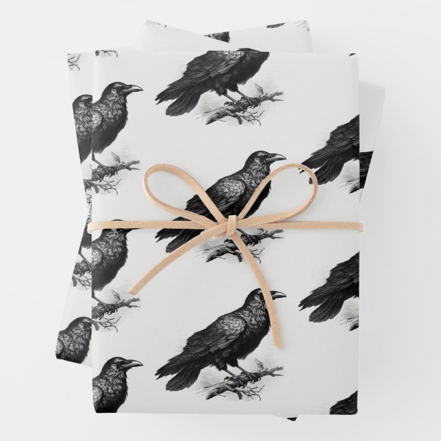 Raven Vintage Illustration Wrapping Paper Sheets (In situ)