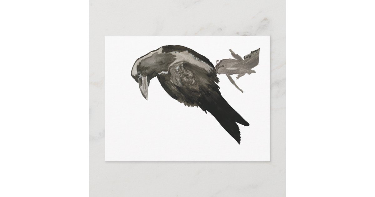 Raven Watercolor Postcard | Zazzle