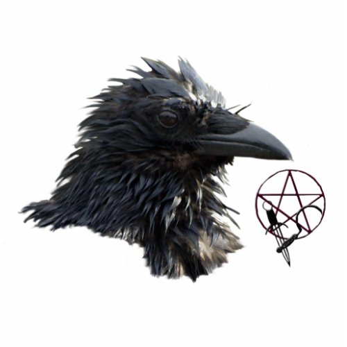 Raven Wiccan Pentacle sculpted Magnet