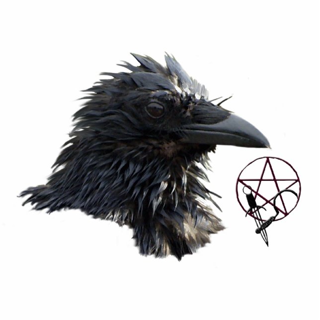 Raven Wiccan Pentacle (sculpted) Magnet (Front)