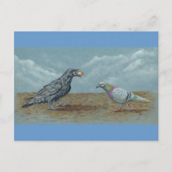 Raven With Egg Bothered By Pigeon Postcard by KMCoriginals at Zazzle