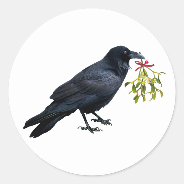 Raven with Mistletoe Stickers (Front)
