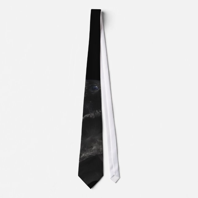 Raven's eye Tie (Front)