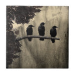 Ravens Perched Ceramic Tile<br><div class="desc">Three ravens on a branch done in vintage, aged style.</div>