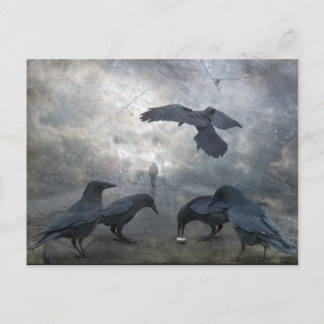 Ravens play with lost Time Postcard (Front)