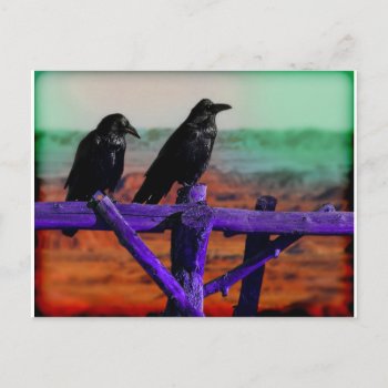 Ravens Postcard by jamierushad at Zazzle
