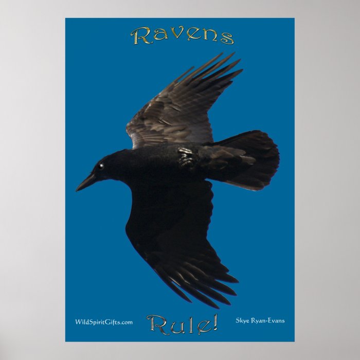 RAVENS RULE Poster