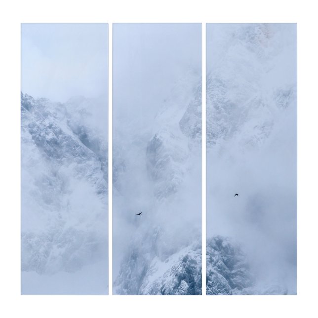 Ravens, snowy mountains and clouds triptych (Front)