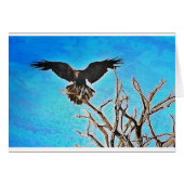 Raventree (Front Horizontal)