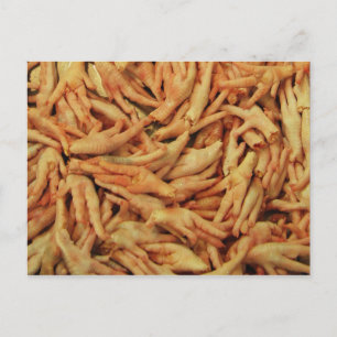 Raw Chicken Feet Postcard