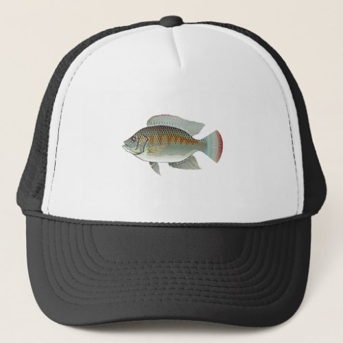 Raw Seafood Tilapia Fish Vector Trucker Hat