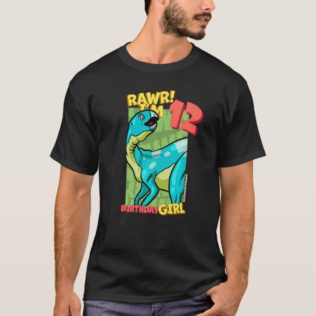 Rawr I'm 12 Birthday Girls 12th Birthday Dino Hyps T-Shirt (Front)