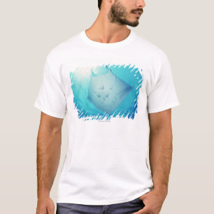 Ray T-Shirt