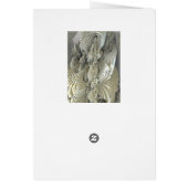 Raydianze M3-13 (Back)