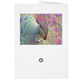 Raydianze M3-53b Cards (Back)