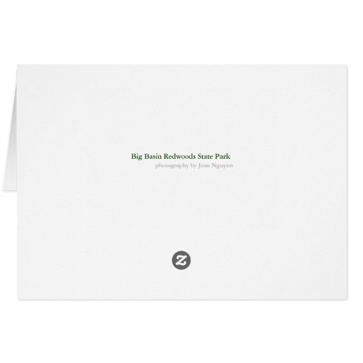 Rays of light (Back Horizontal)