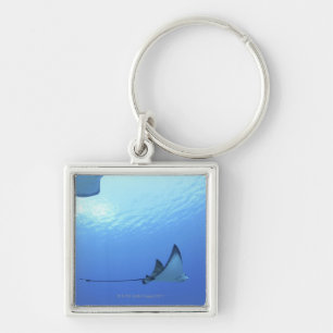 Rays swimming, Saipan, Northern Mariana Islands Keychain