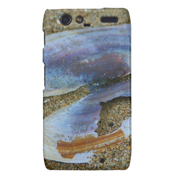 Razor Clam Shell, Oregon Droid RAZR Cover