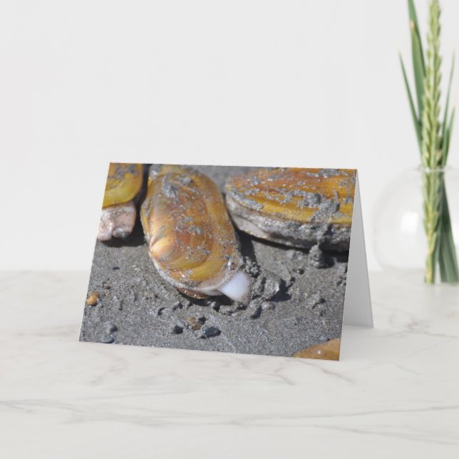 Razor Clams Card (Front)