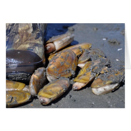 Razor Clams Cards (Front Horizontal)