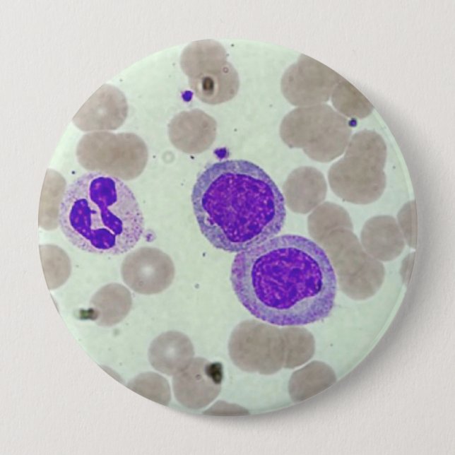 rbcs wbcs slide lab microscope hematology button (Front)