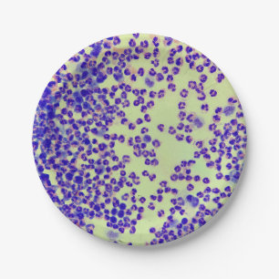 rbcs wbcs slide lab microscope hematology paper plates