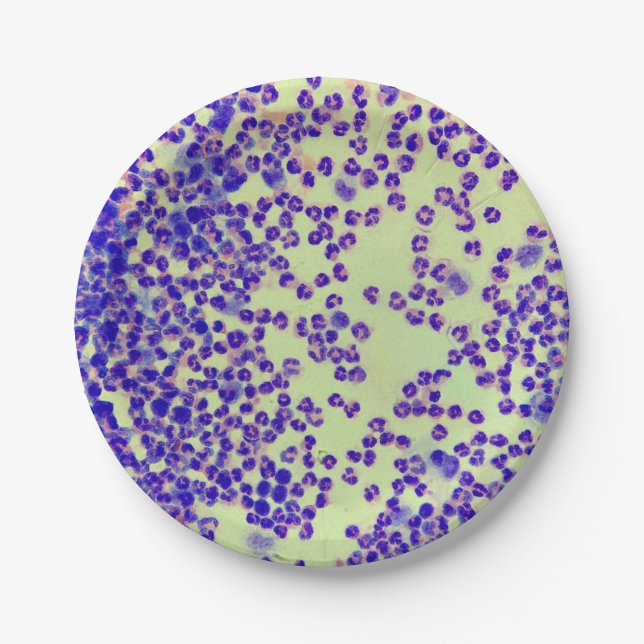 rbcs wbcs slide lab microscope hematology paper plates (Front)