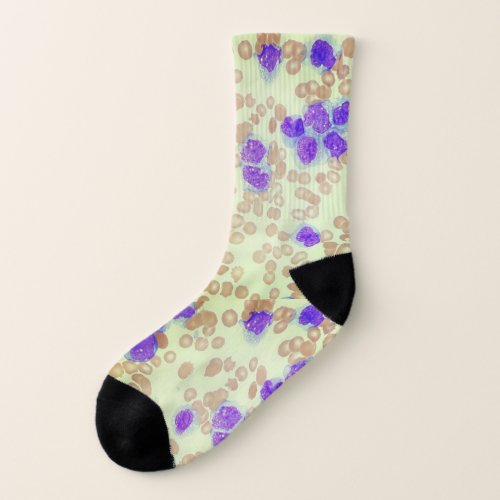 rbcs wbcs slide lab microscope hematology socks