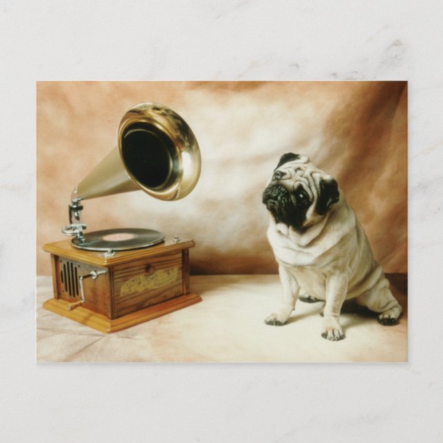 RCA Pug Dog Postcard (Front)